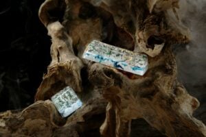 Rehabilitation Concept (3)