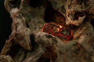 Rehabilitation Concept (4)