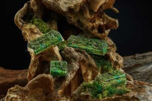 Rehabilitation Concept (5)