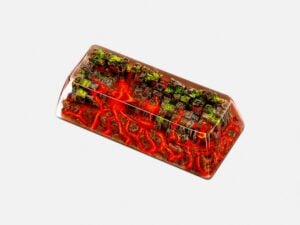 Rehabilitation Do (6)