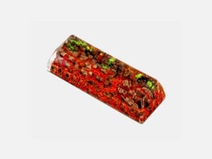 Rehabilitation Do (9)