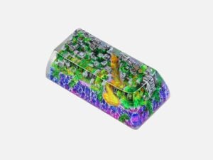 Rehabilitation Tim (2)