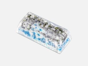 Rehabilitation Trang (4)