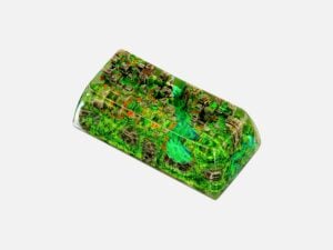 Rehabilitation Xanh (13)