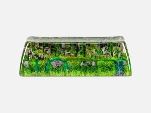 Rehabilitation Xanh (18)