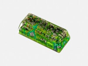 Rehabilitation Xanh (19)