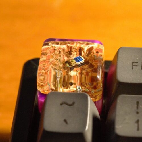 willlywilfrid 209267861 393565168756967 6422700349321955732 n